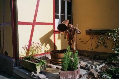 Tiptop Hotel Garni Pfauen Endingen am Kaiserstuhl Exterior photo