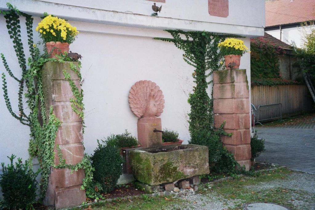 Tiptop Hotel Garni Pfauen Endingen am Kaiserstuhl Exterior photo